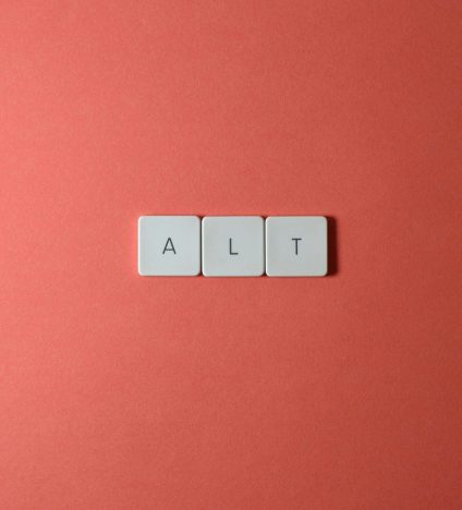 Görsel Optimizasyonu ve Alt Etiketler Görsel Optimizasyonu ve Alt Etiketler